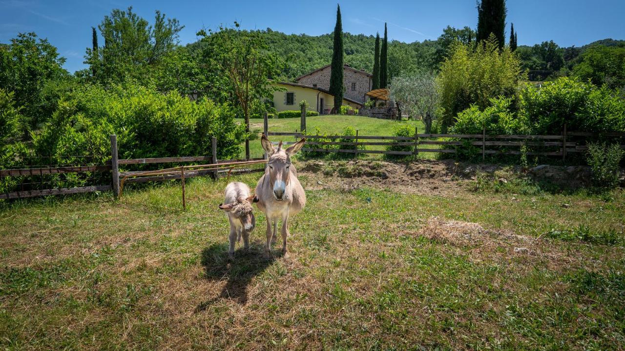Agriturismo I Pietrini Perugia Bagian luar foto